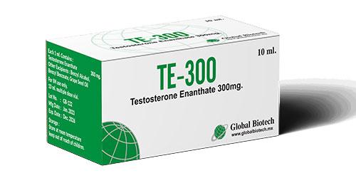 TE - 300mg/ml in 10ml vial by Global Biotech